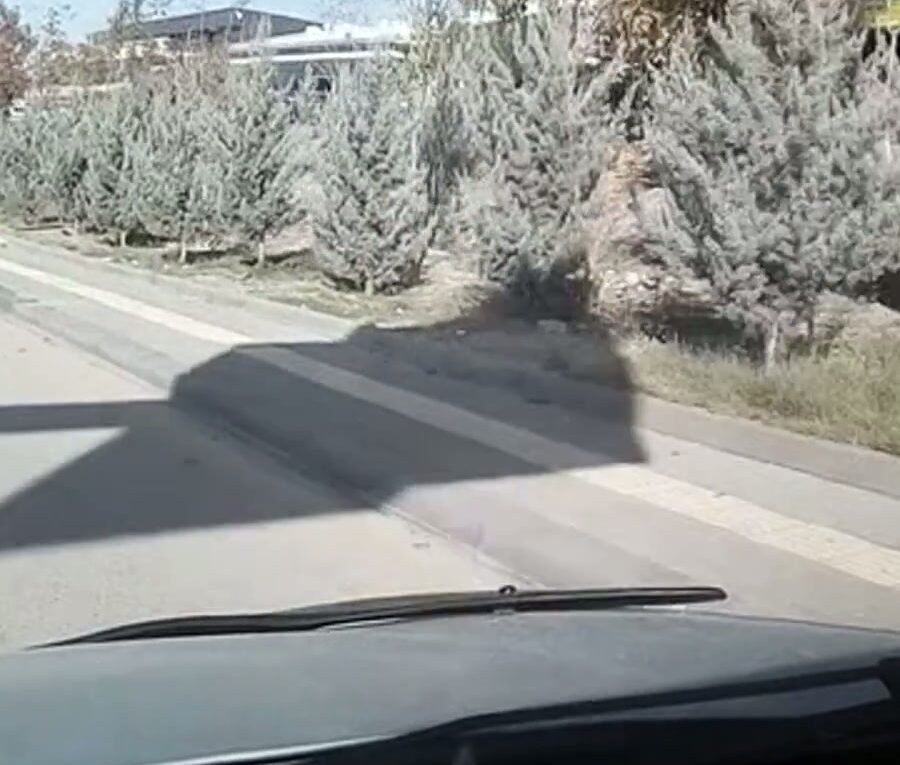 Toyota Çıkma Yedek Parça Ostim